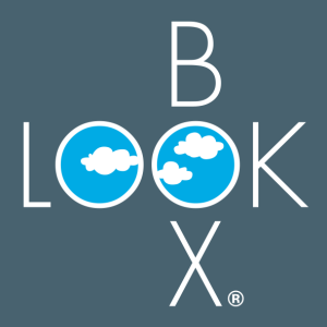 LookBox Logo_Orcinal